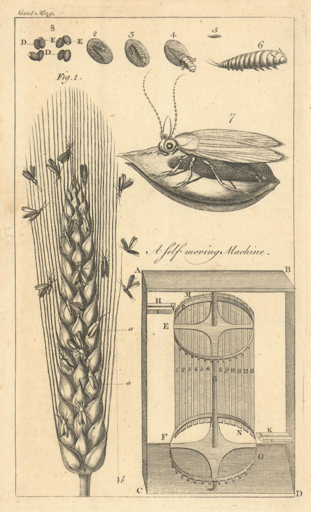 Insect corn blight Angoumois/Charente. A Self-moving Machine. Gent's Mag 1763